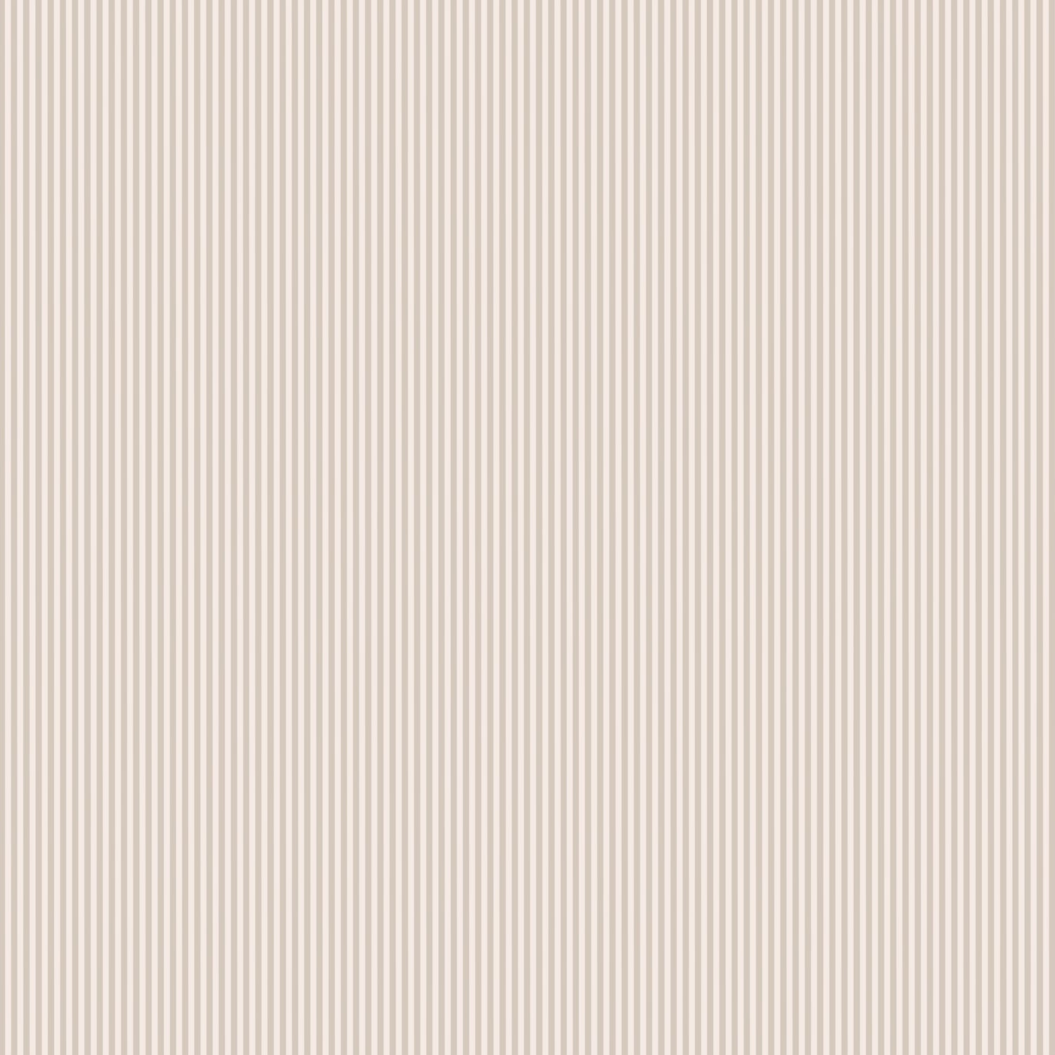 Casey Jo Paper Co.