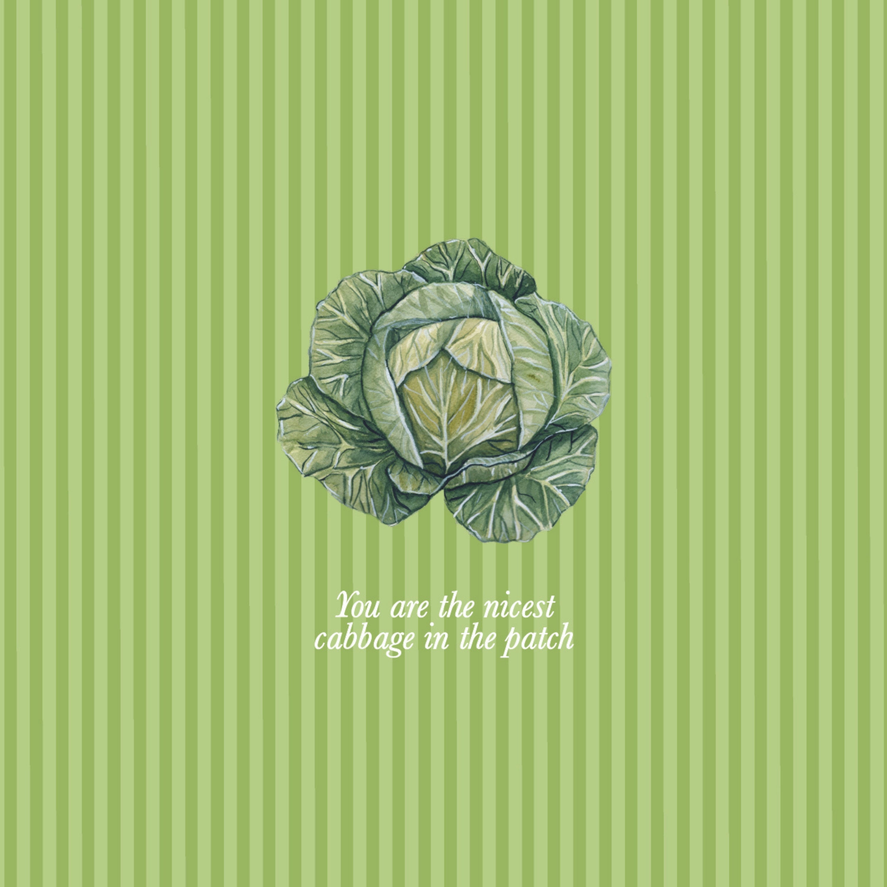 "You're the nicest cabbage in the patch" Greeting Card