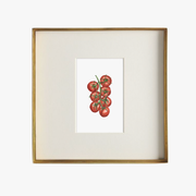 Tomato Art Print